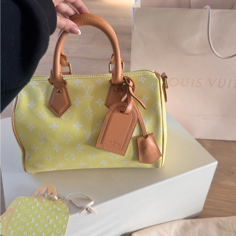 RARE Louis Vuitton Speedy P9 Bandouliere 25